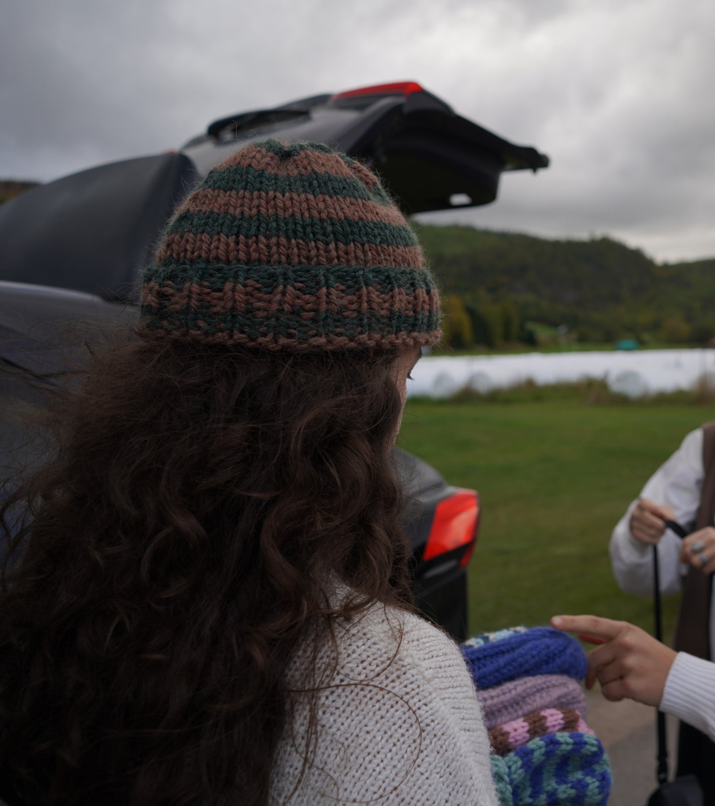 Peruvian wool classic beanie - Autumn