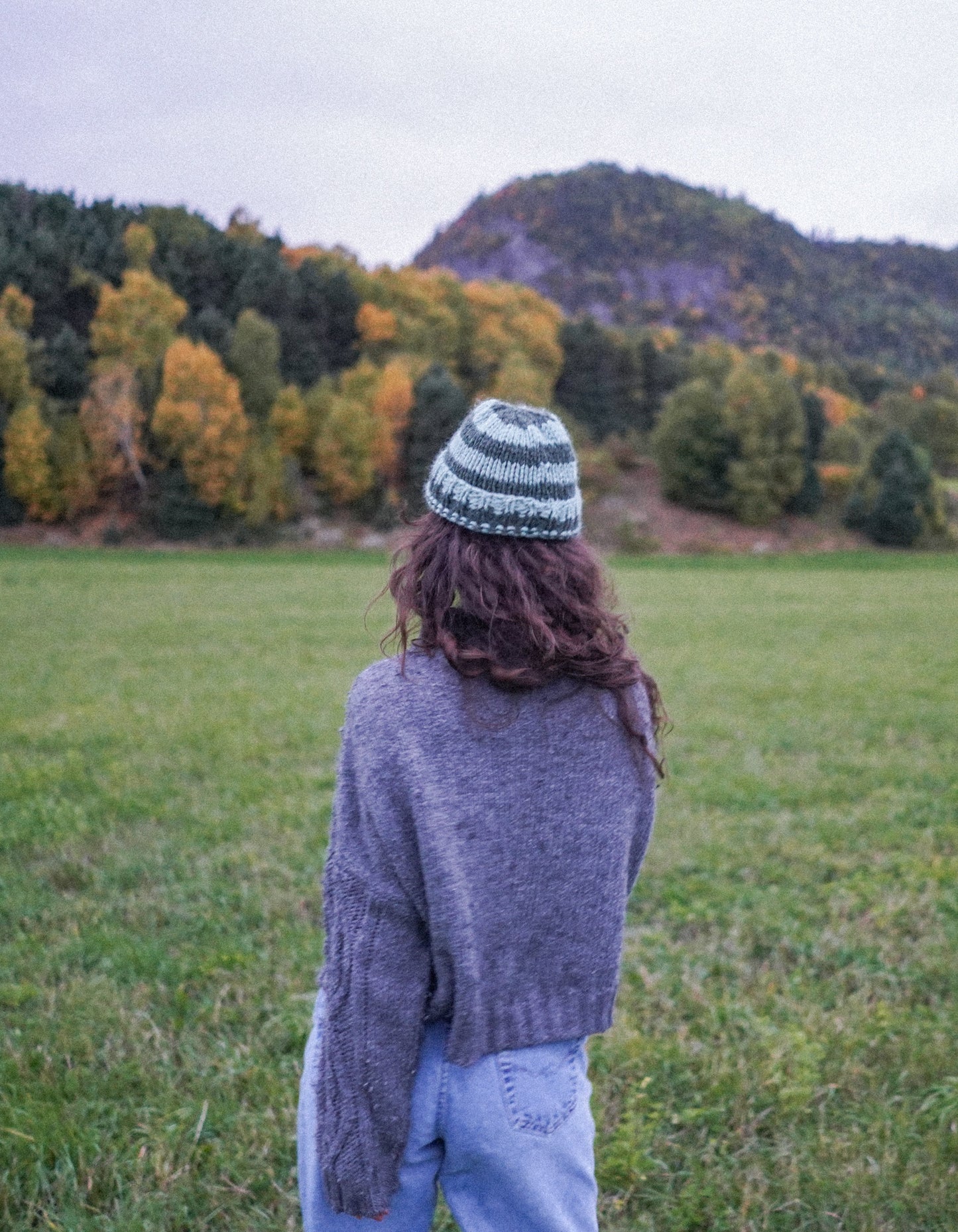 Peruvian wool classic beanie - Autumn