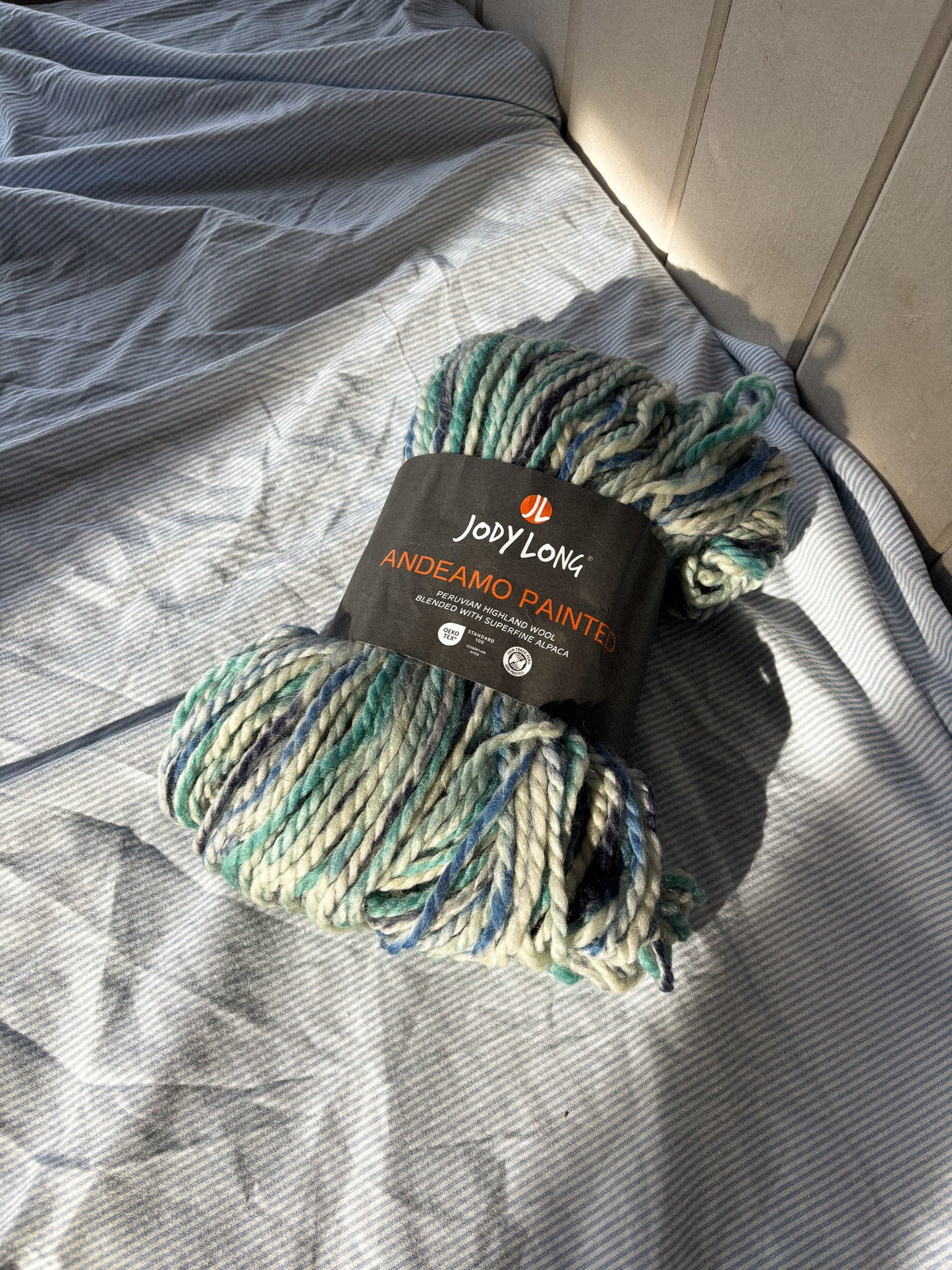 Jody Long Andeamo Painted - Super Chunky yarn