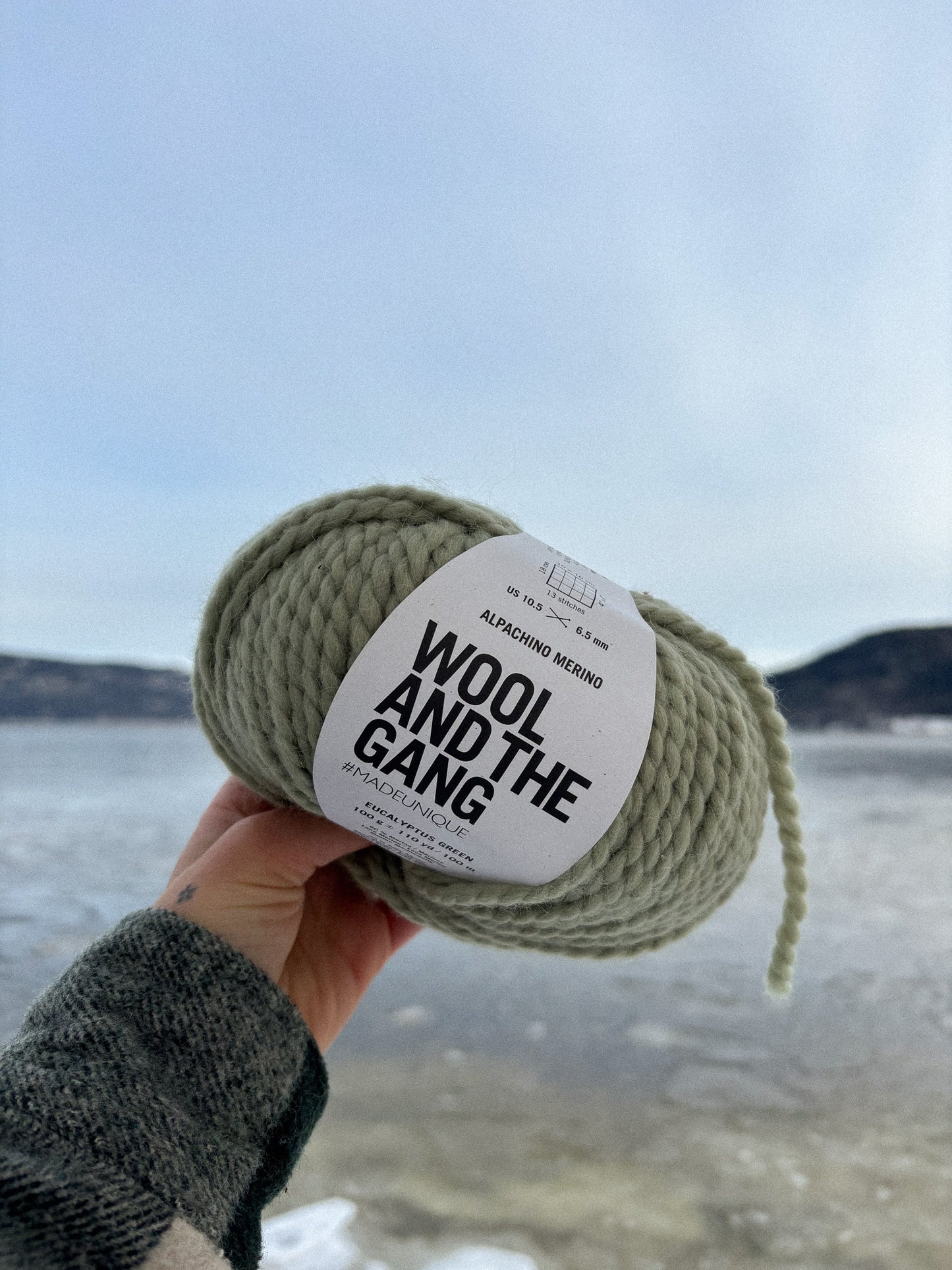 Wool and the gang - Alpachino Merino 11