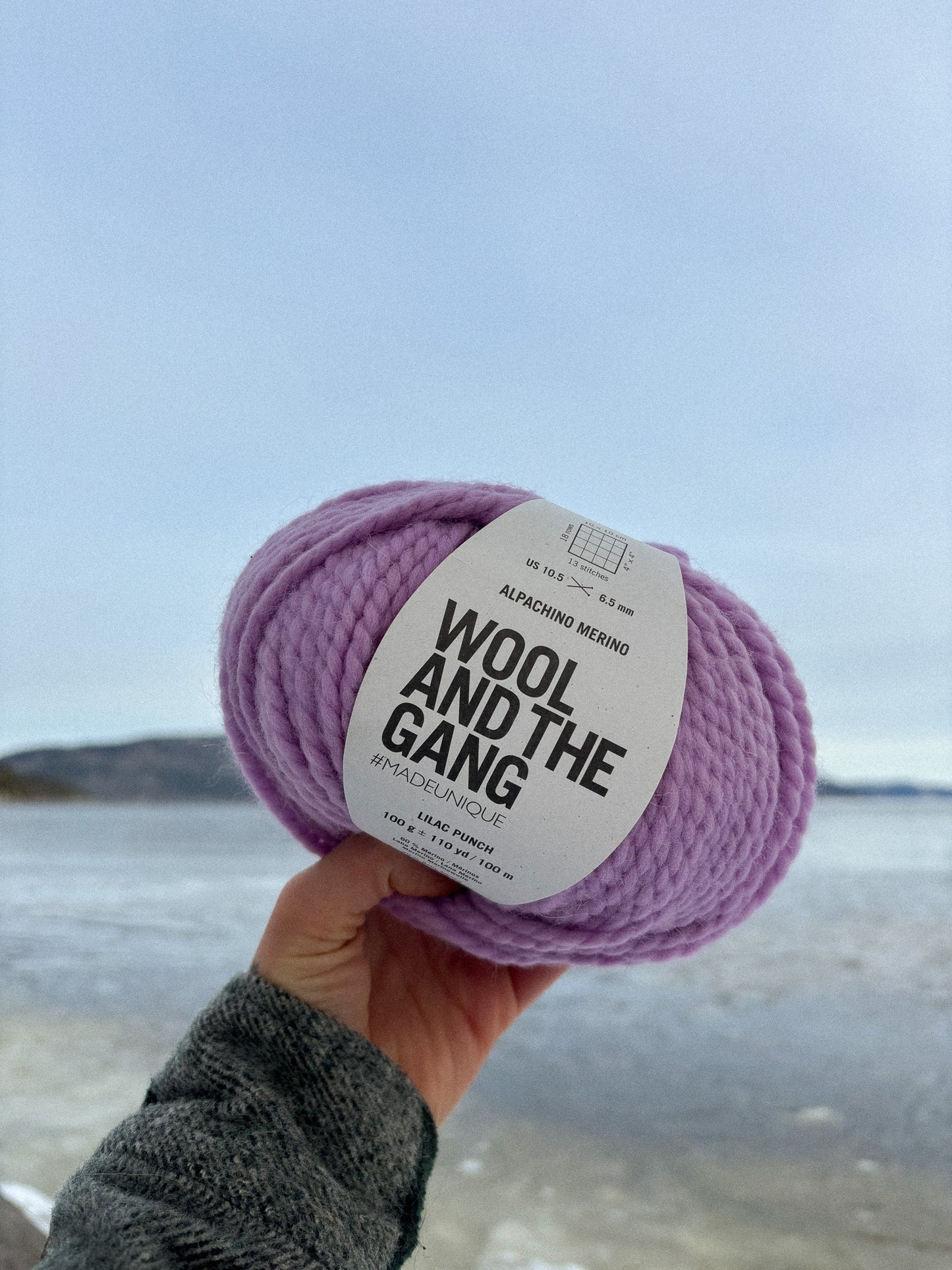 Wool and the gang - Alpachino Merino 11