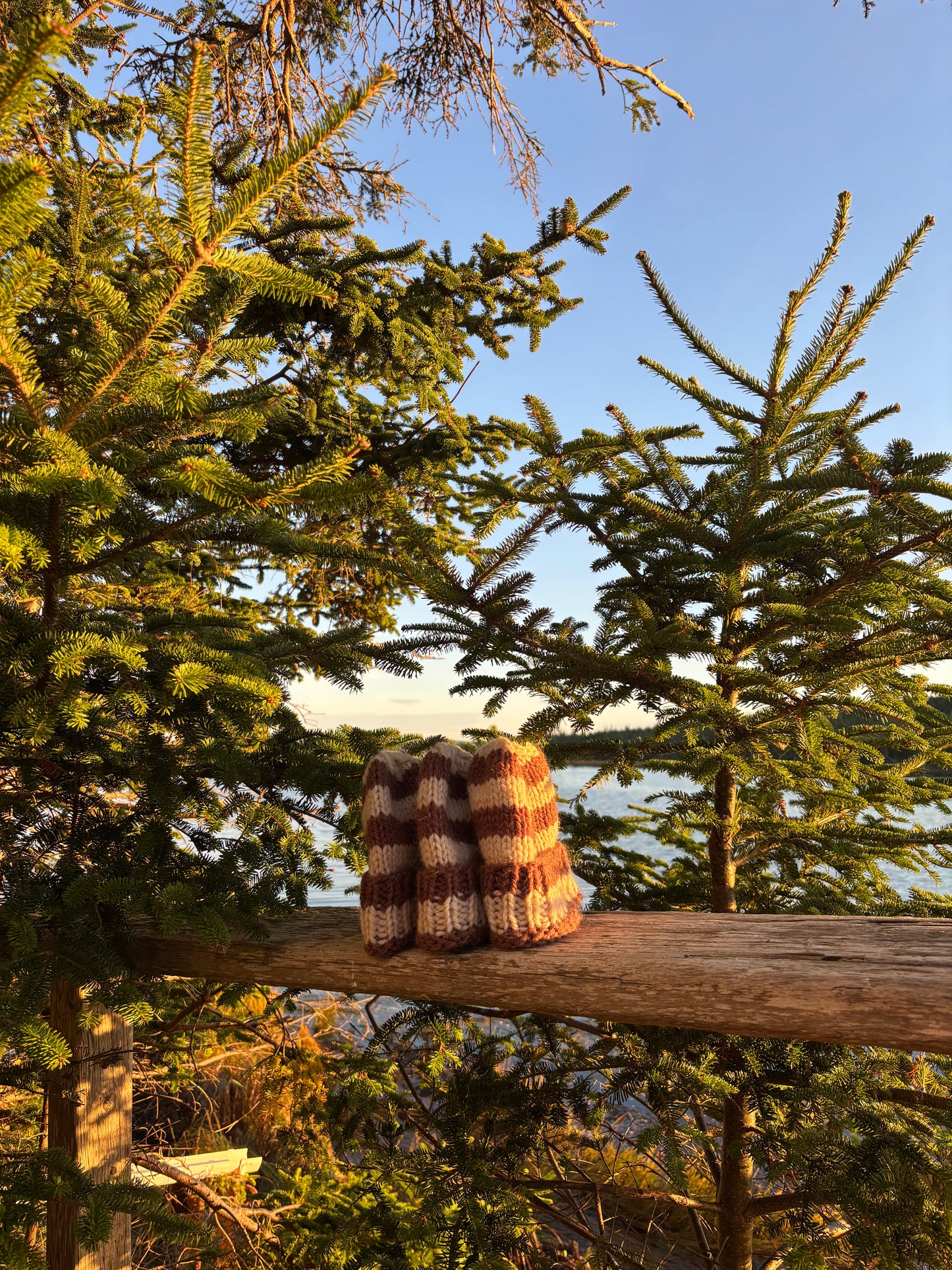 Perfect brown beanie